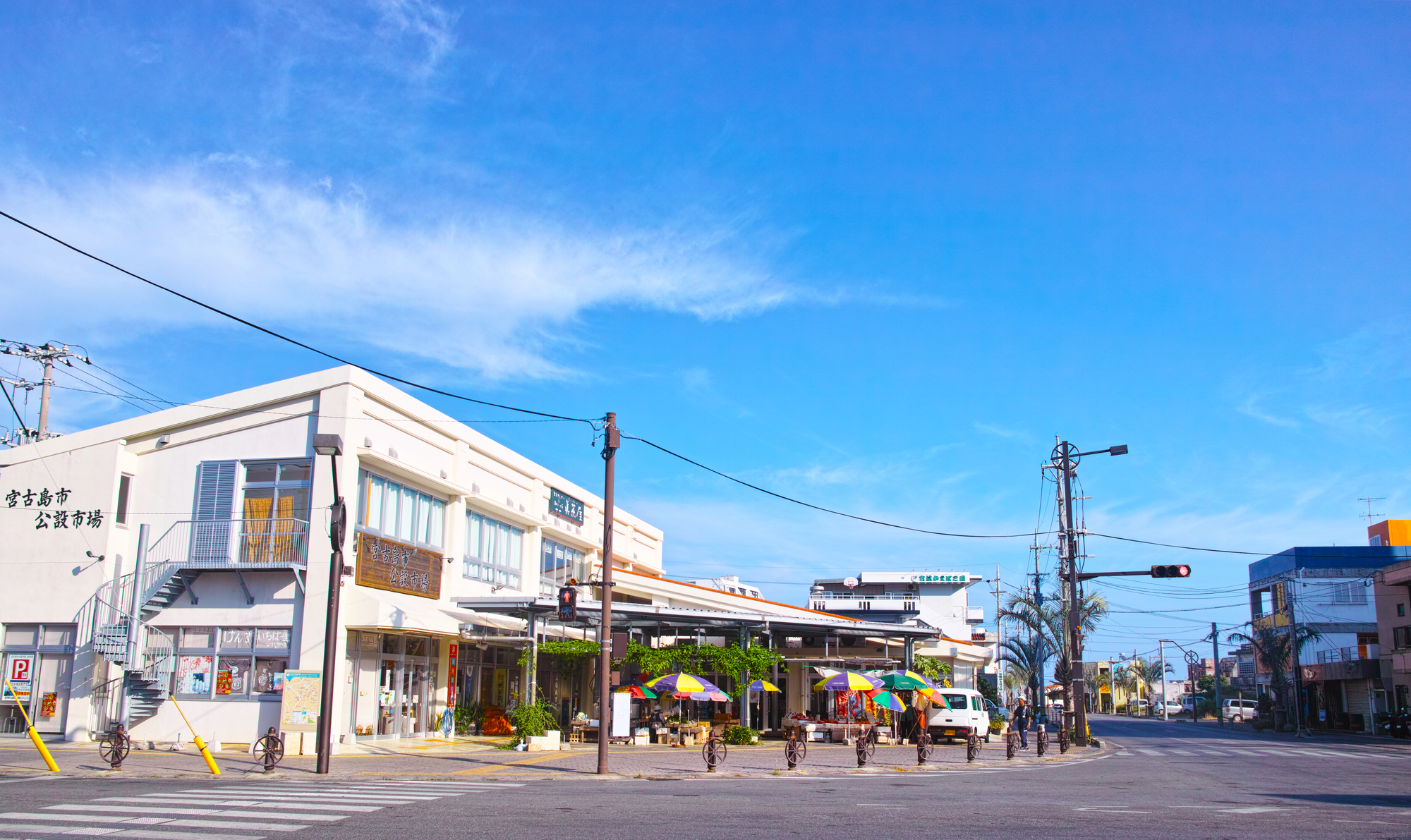 宮古島市公設市場｜地元グルメ・お土産・市場の魅力完全ガイド