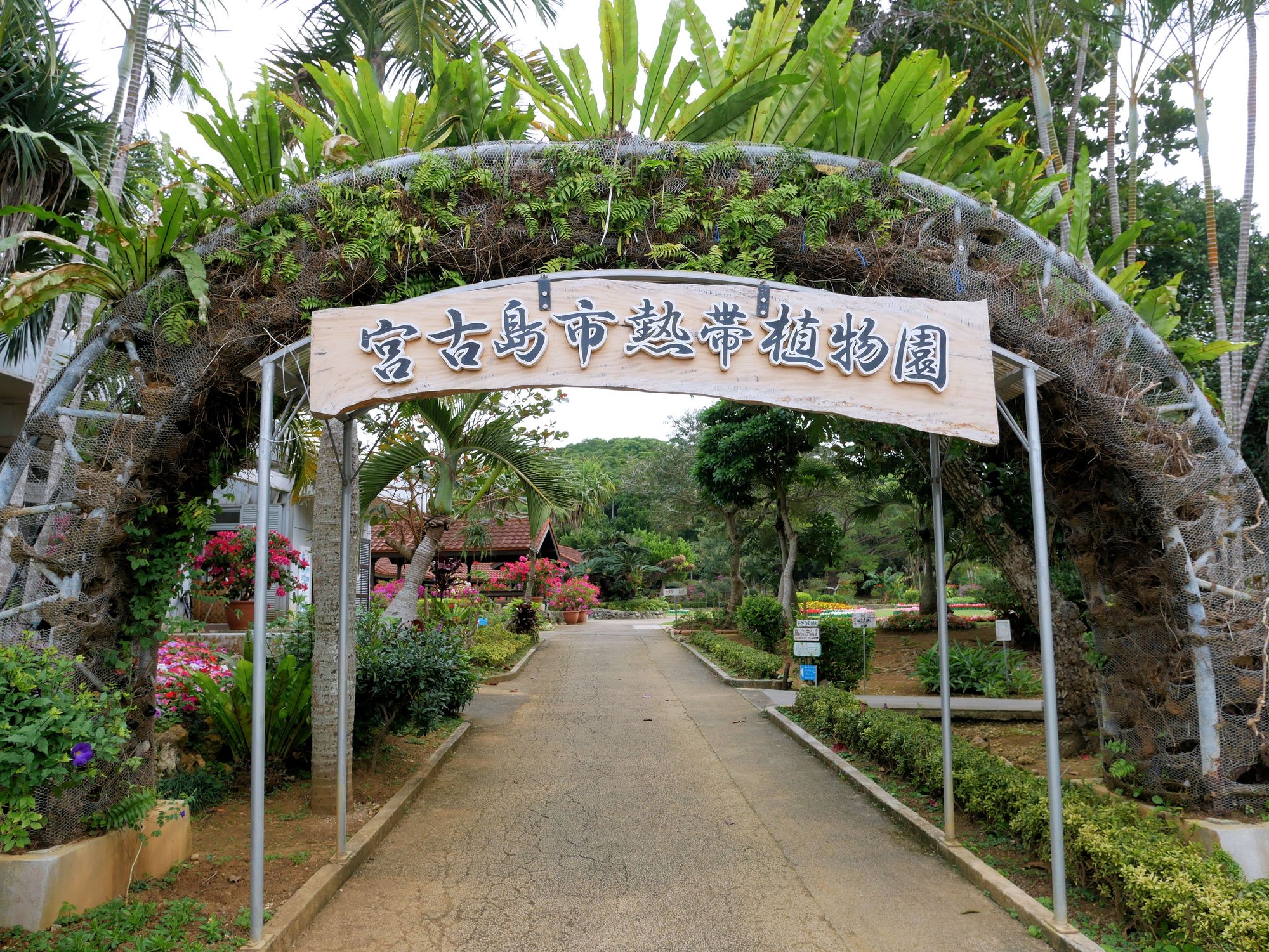 宮古島市熱帯植物園｜入園無料・1600種の亜熱帯植物・子連れにも完全ガイド