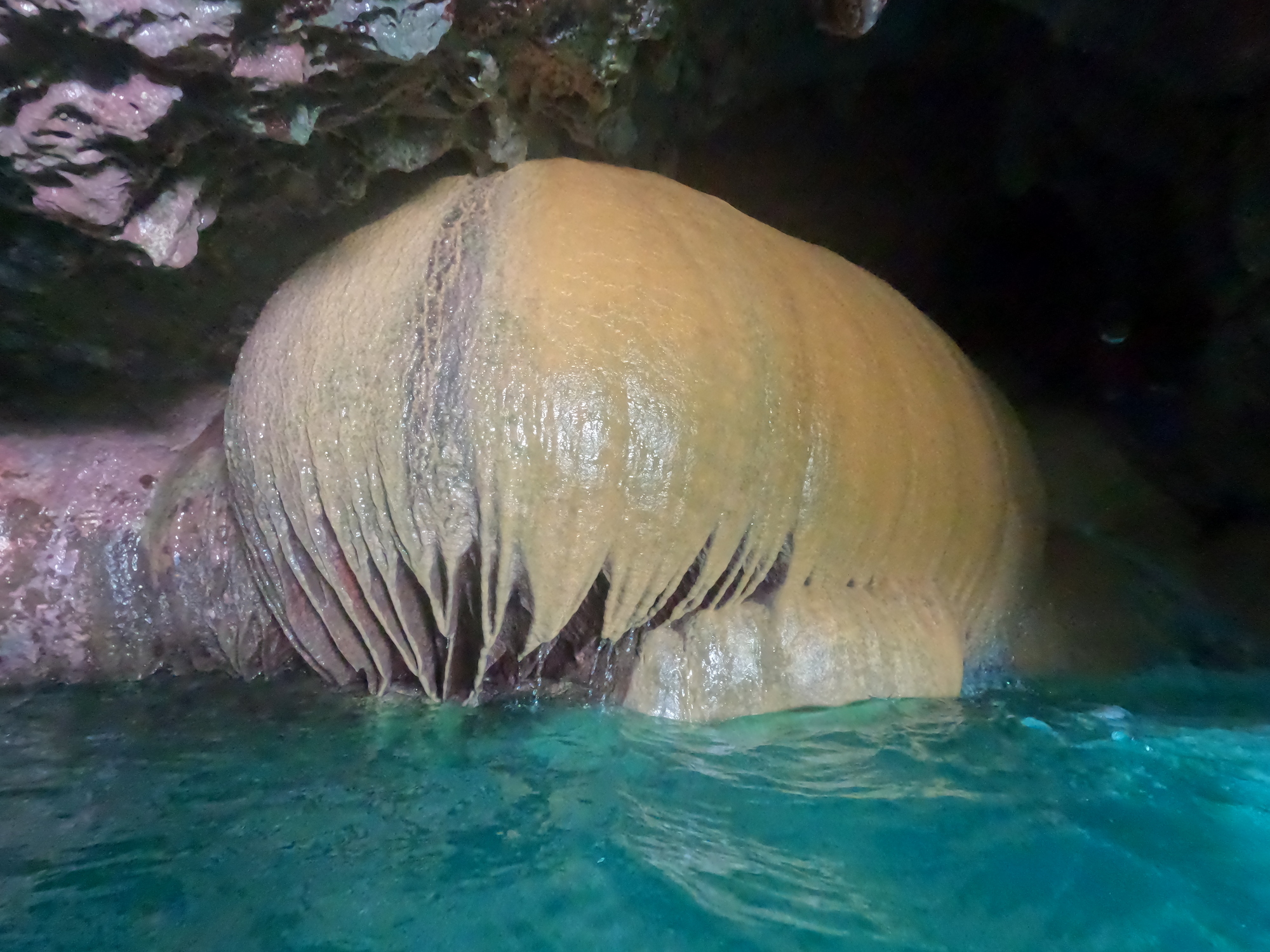 パンプキンホール｜カヤックツアー・鍋底鍾乳洞・秘境探検完全ガイド